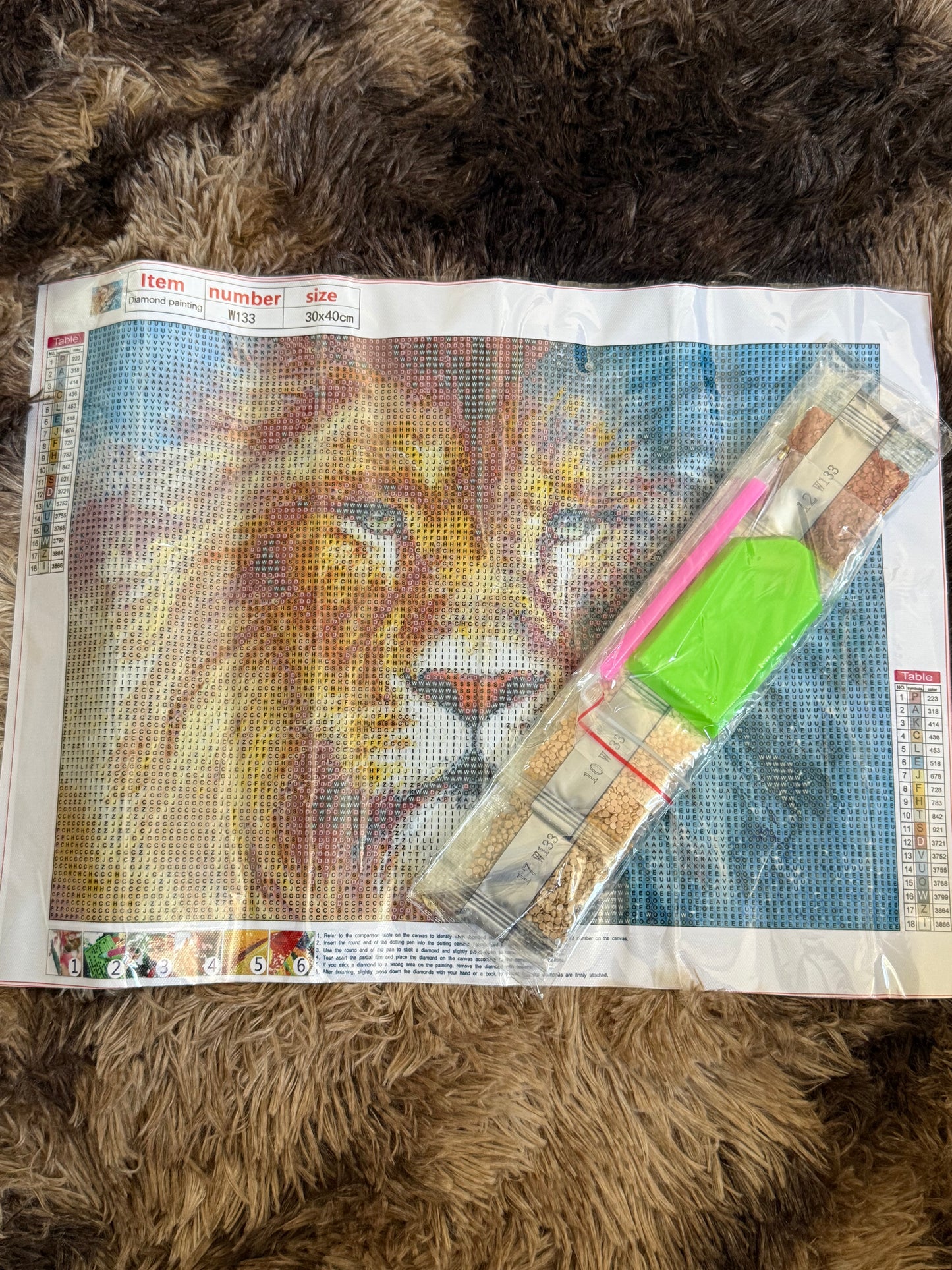 Diamond Painting Round Drill 30x40