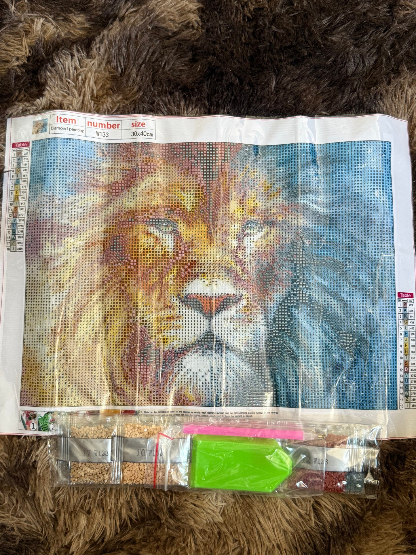Diamond Painting Round Drill 30x40