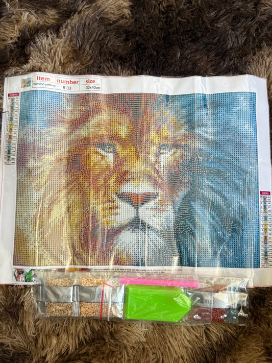 Diamond Painting Round Drill 30x40