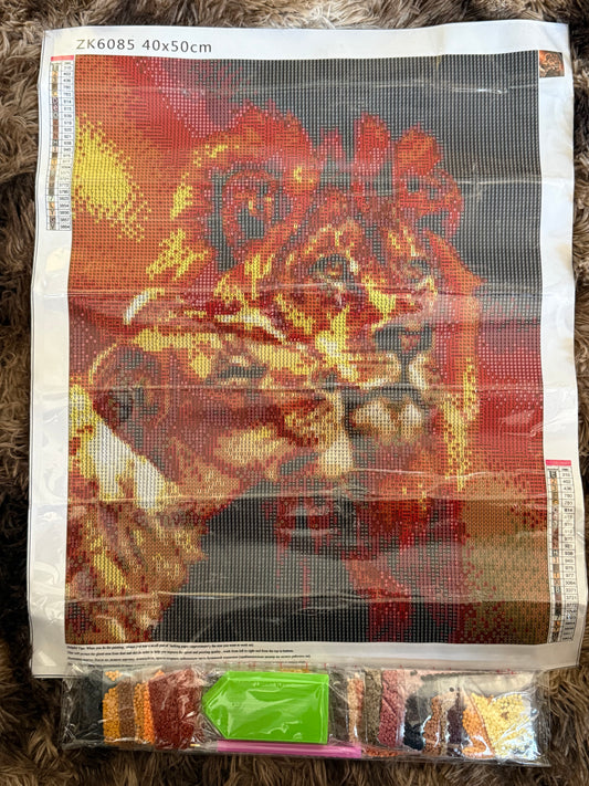 Diamond Painting Round Drill 40x50